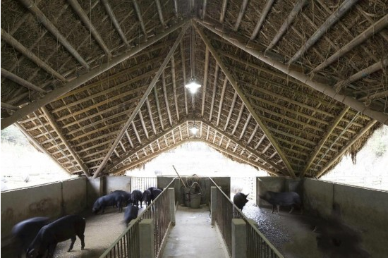 1474968216733132.png blob.png